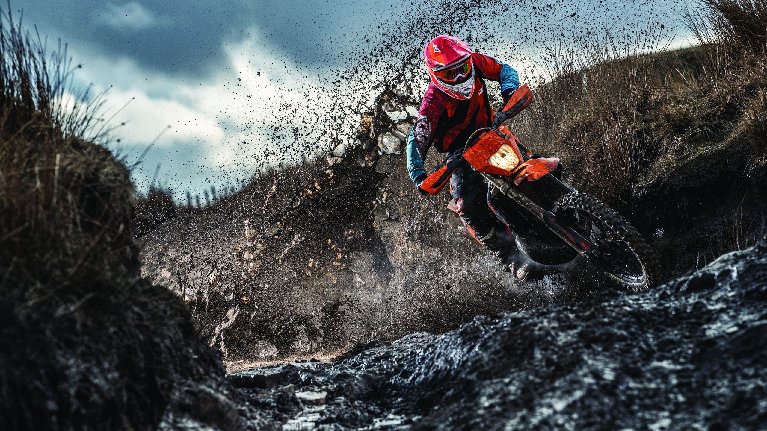 安全平台-张本智和赛点兑现，热刺淘汰北京国安晋级四强，主帅激动落泪  第1张