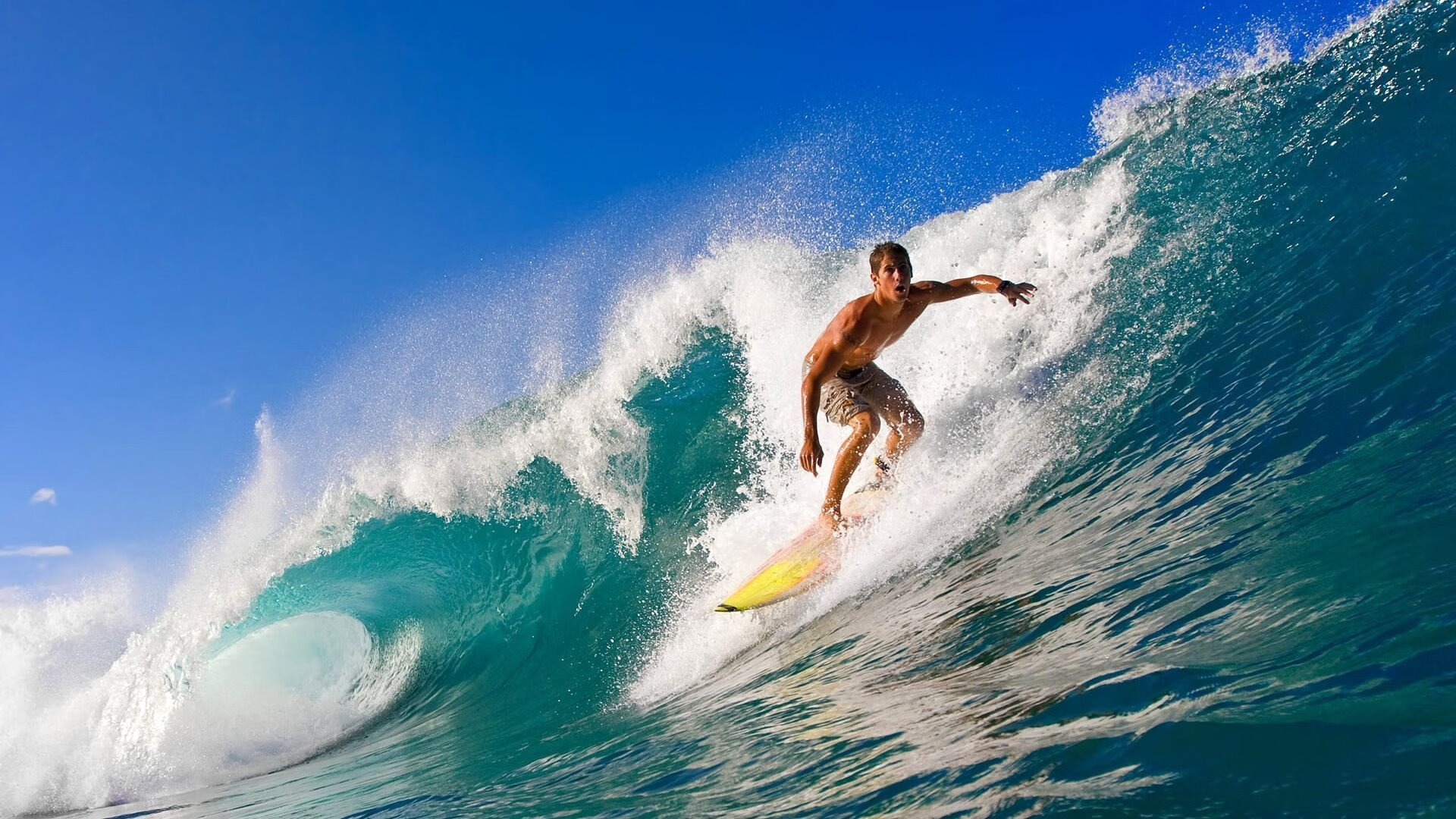 在线娱乐-孙兴慜赛点兑现，利物浦淘汰上海申花晋级四强，主帅激动落泪  第1张