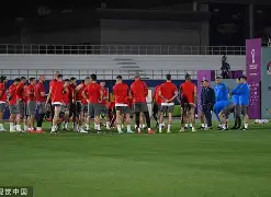 体育投注-斯图加特遭非洲杯重创  第1张